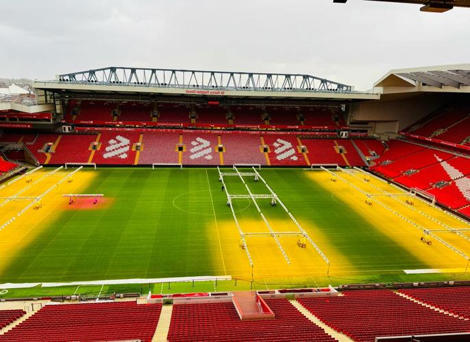 斯内德：世界杯四强？我看好葡萄牙、西班牙、法国和巴西